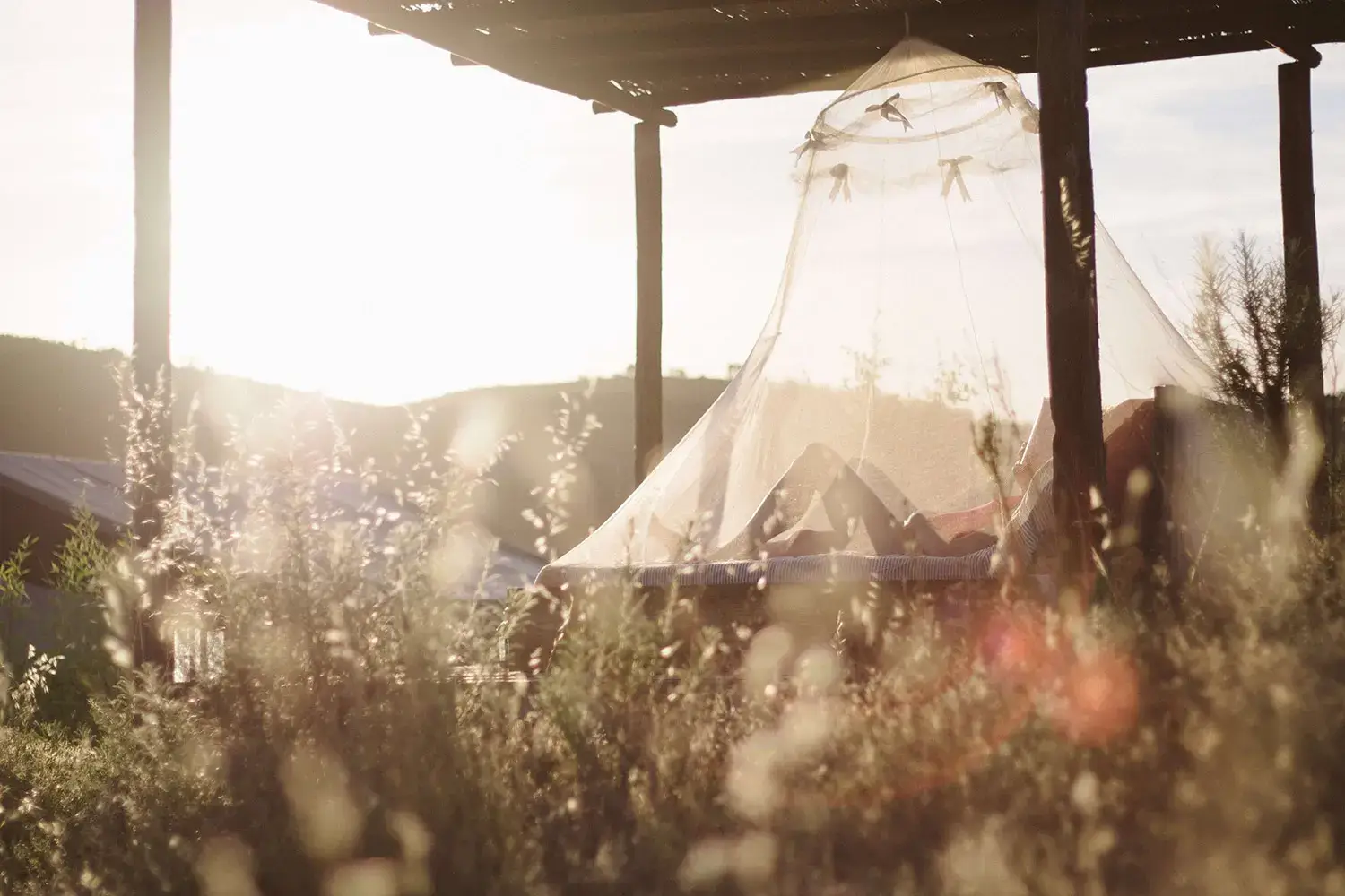 Free Mosquito Control Estimate: A tent in the middle of a field with flowers.