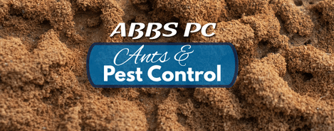 ABBS Pest Control experts eliminating top 5 ants in Oklahoma, including Acrobat, Fire Ants, Carpenter Ants, and more
